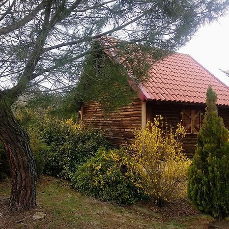 El Muerdago de Cañada Hostal Cañada del Hoyo Exterior foto