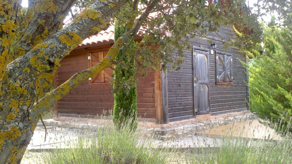 El Muerdago de Cañada Hostal Cañada del Hoyo Exterior foto
